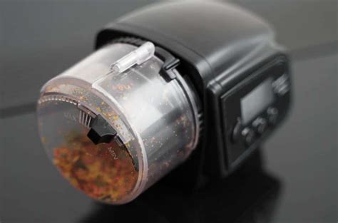 6 Best Automatic Fish Feeder Options (Reviews).